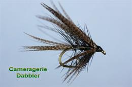 Cameragerie Dabbler